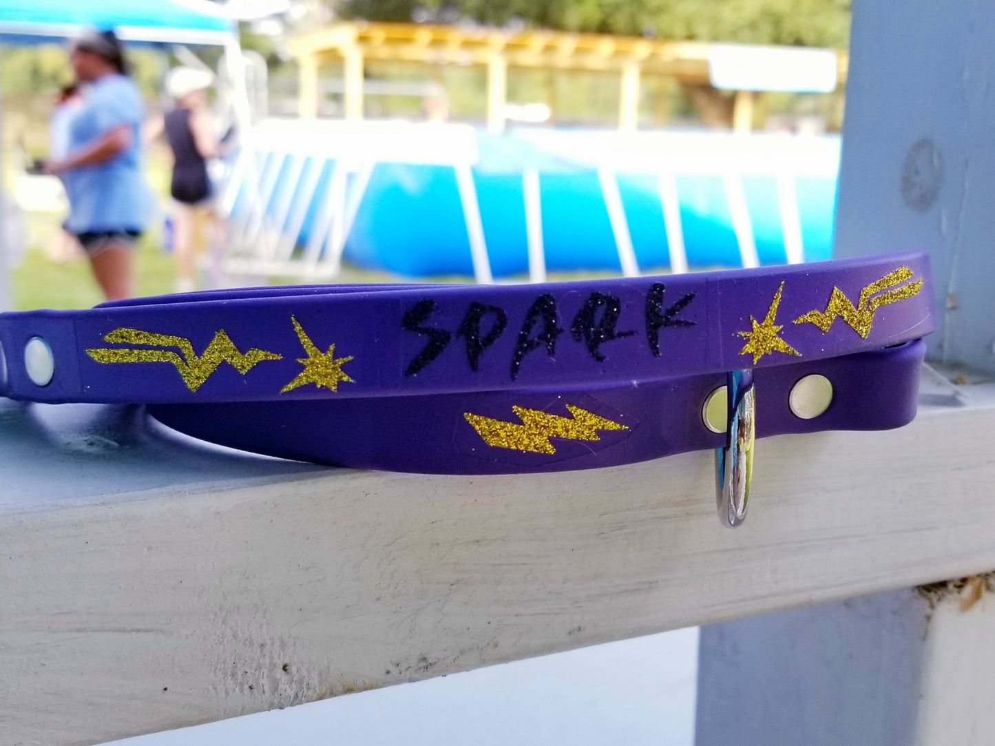 Personalized BioThane Leashes – Customize With Your Pet's Name